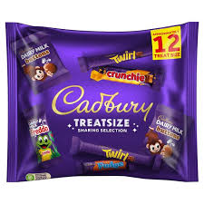 Cadbury Family Treatsize 12 Bars