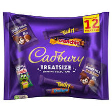 Cadbury Family Treatsize 12 Bars