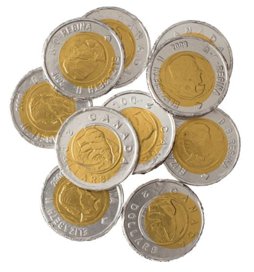 Toonies 80g